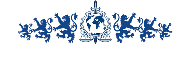Interpol Report No.06010241201 Banking, Cell Phones, Credit Cards and Debit Cards.